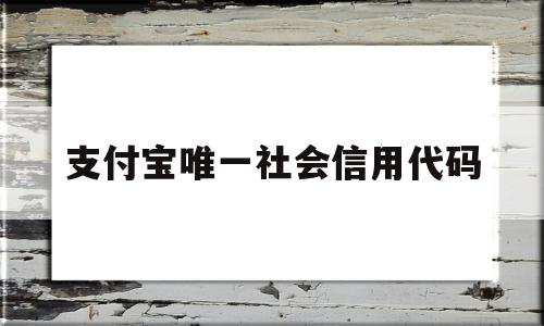 支付宝唯一社会信用代码(支付宝企业名称和社会信用代码),支付宝唯一社会信用代码(支付宝企业名称和社会信用代码),支付宝唯一社会信用代码,信息,百度,账号,第1张