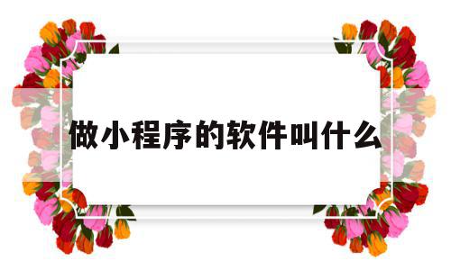 做小程序的软件叫什么(做小程序的软件叫什么软件),做小程序的软件叫什么(做小程序的软件叫什么软件),做小程序的软件叫什么,视频,微信,APP,第1张