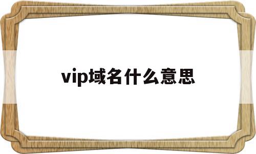 vip域名什么意思(vip域名值得投资吗)