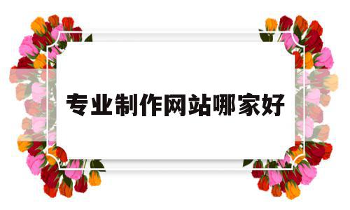 专业制作网站哪家好(国内网站制作哪家专业),专业制作网站哪家好(国内网站制作哪家专业),专业制作网站哪家好,百度,微信,营销,第1张