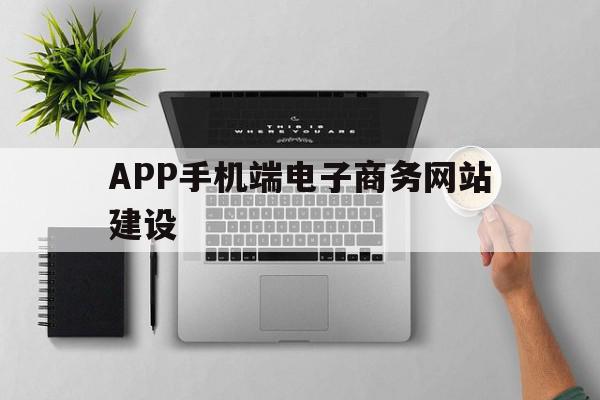 APP手机端电子商务网站建设的简单介绍