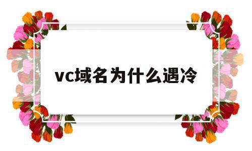 vc域名为什么遇冷(为什么域名都是com)