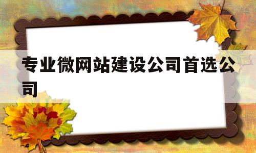 专业微网站建设公司首选公司的简单介绍,专业微网站建设公司首选公司的简单介绍,专业微网站建设公司首选公司,信息,模板,APP,第1张