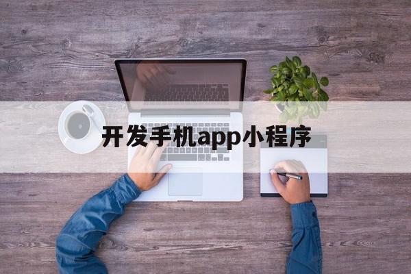 开发手机app小程序(手机小程序开发需要多少钱),开发手机app小程序(手机小程序开发需要多少钱),开发手机app小程序,信息,账号,微信,第1张