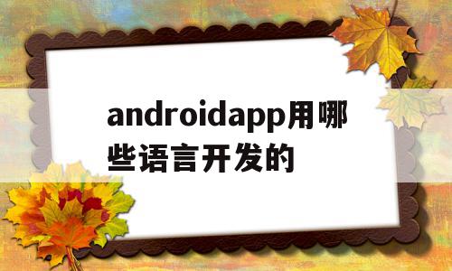 androidapp用哪些语言开发的的简单介绍,androidapp用哪些语言开发的的简单介绍,androidapp用哪些语言开发的,源码,APP,app,第1张