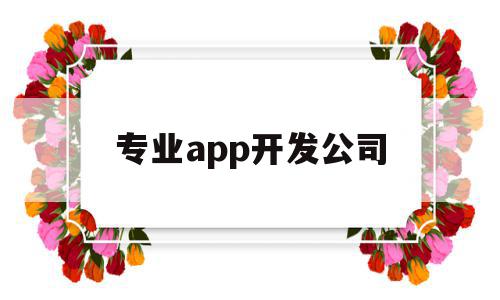 专业app开发公司(专业app开发公司有哪些),专业app开发公司(专业app开发公司有哪些),专业app开发公司,信息,APP,科技,第1张