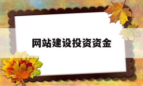 网站建设投资资金(网站建设项目投资成本估算表)