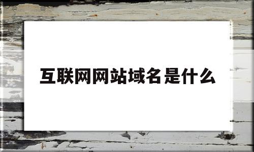 互联网网站域名是什么(互联网网站域名是什么意思)