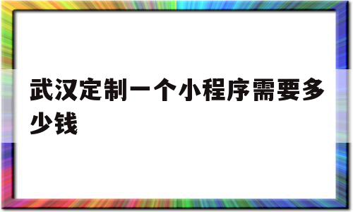 武汉定制一个小程序需要多少钱(武汉定制一个小程序需要多少钱费用)