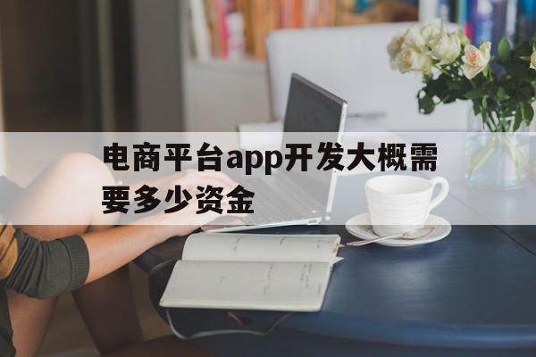 电商平台app开发大概需要多少资金(电商平台app开发大概需要多少资金呢),电商平台app开发大概需要多少资金(电商平台app开发大概需要多少资金呢),电商平台app开发大概需要多少资金,APP,营销,科技,第1张