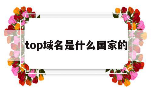 top域名是什么国家的(top域名为什么这么便宜)