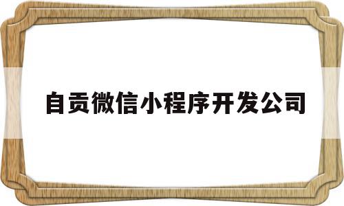 自贡微信小程序开发公司(微信小程序开发一个多少钱),自贡微信小程序开发公司(微信小程序开发一个多少钱),自贡微信小程序开发公司,百度,视频,模板,第1张
