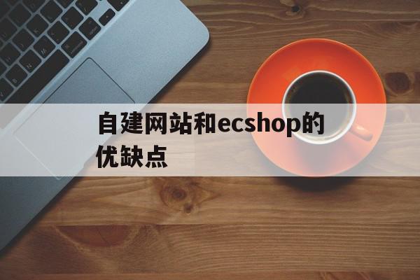 自建网站和ecshop的优缺点的简单介绍,自建网站和ecshop的优缺点的简单介绍,自建网站和ecshop的优缺点,信息,模板,营销,第1张