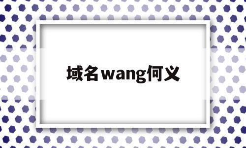 域名wang何义(域名网址是什么意思)