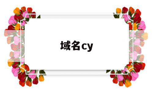 域名cy(域名com代表什么),域名cy(域名com代表什么),域名cy,信息,免费,投资,第1张