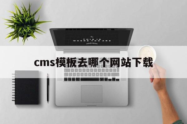 cms模板去哪个网站下载(cms模板去哪个网站下载好)