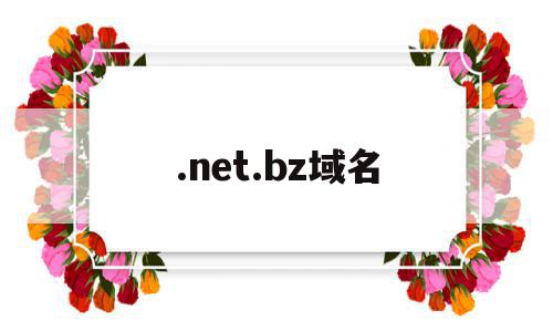 .net.bz域名(netlify 域名)