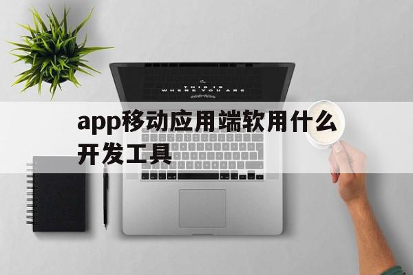 包含app移动应用端软用什么开发工具的词条,包含app移动应用端软用什么开发工具的词条,app移动应用端软用什么开发工具,APP,app,安卓,第1张