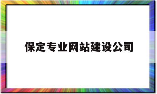 保定专业网站建设公司(保定网站建设公司哪个好)