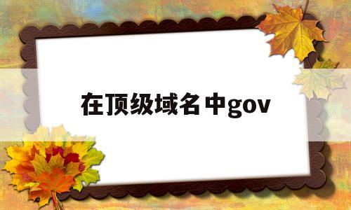 在顶级域名中gov(在顶级域名的分类中不包括),在顶级域名中gov(在顶级域名的分类中不包括),在顶级域名中gov,信息,高级,注册机,第1张