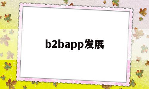 b2bapp发展(b2bapp有哪些),b2bapp发展(b2bapp有哪些),b2bapp发展,营销,APP,app,第1张