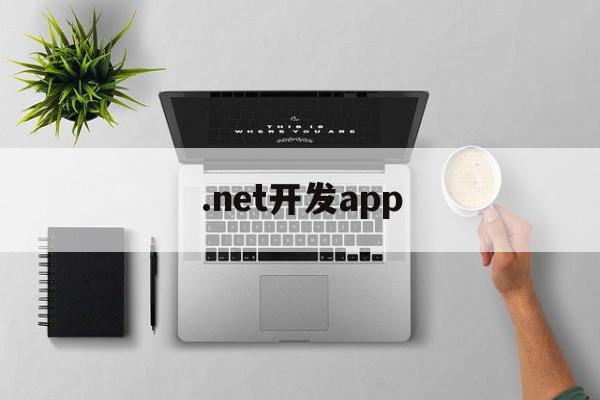 .net开发app(net开发app教程)
