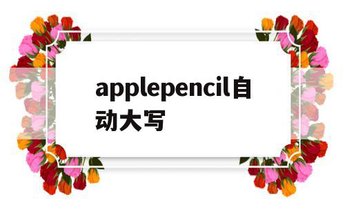 applepencil自动大写(apple pencil写英文怎么改大小写)