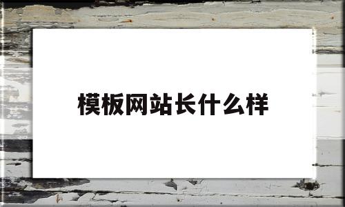 模板网站长什么样(网站模板一般去哪找),模板网站长什么样,信息,文章,百度,第1张 模板网站长什么样(网站模板一般去哪找),模板网站长什么样(网站模板一般去哪找),模板网站长什么样,信息,文章,百度,第1张