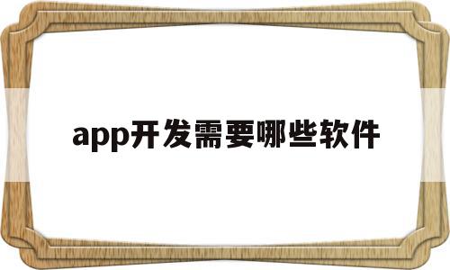 app开发需要哪些软件(开发软件app需要多少钱)