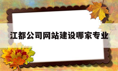 江都公司网站建设哪家专业(专业网站建设公司哪家好)