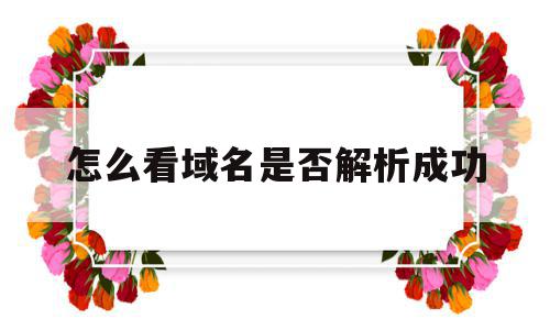 怎么看域名是否解析成功(怎么看域名是否解析成功了),怎么看域名是否解析成功(怎么看域名是否解析成功了),怎么看域名是否解析成功,管理系统,域名怎么,第1张