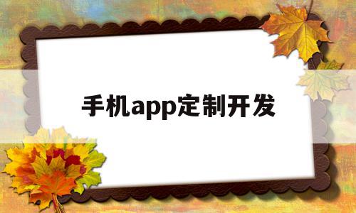 手机app定制开发(手机app定制开发方案),手机app定制开发(手机app定制开发方案),手机app定制开发,文章,模板,APP,第1张