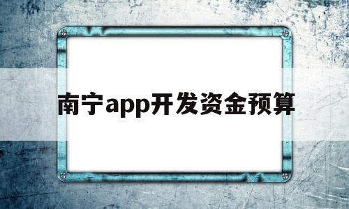 南宁app开发资金预算(开发app资金的筹备和预算)