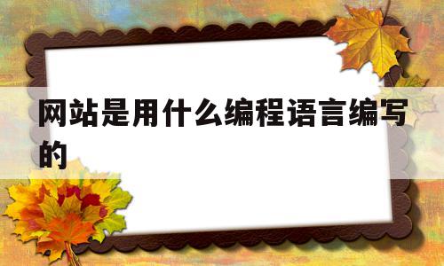 网站是用什么编程语言编写的(网站都是用什么编程语言开发的),网站是用什么编程语言编写的(网站都是用什么编程语言开发的),网站是用什么编程语言编写的,百度,浏览器,网站建设,第1张