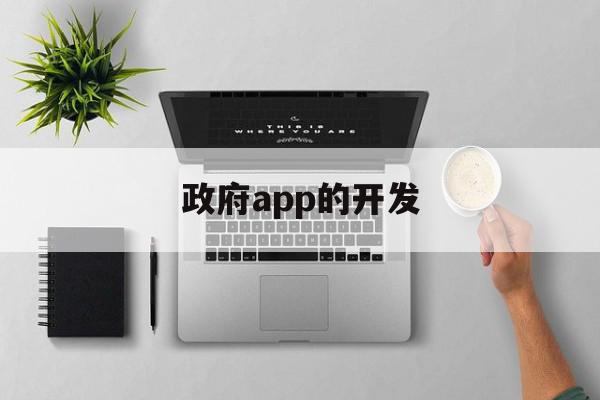 政府app的开发(开发app拿政府补贴)