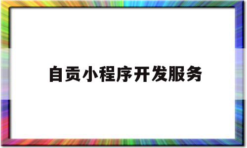 自贡小程序开发服务(自贡小程序开发工程师招聘),自贡小程序开发服务(自贡小程序开发工程师招聘),自贡小程序开发服务,微信,APP,商城,第1张