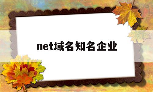 net域名知名企业(net域名有投资价值吗),net域名知名企业(net域名有投资价值吗),net域名知名企业,投资,域名注册,域名net,第1张