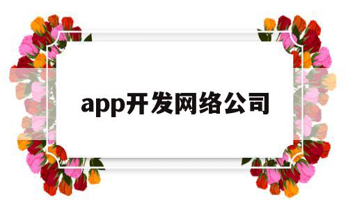 app开发网络公司(app开发费用一览表)