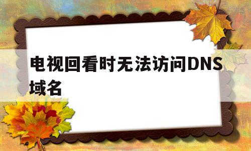 电视回看时无法访问DNS域名(电视回看时无法访问dns域名怎么回事),电视回看时无法访问DNS域名,信息,浏览器,的网址,第1张 电视回看时无法访问DNS域名(电视回看时无法访问dns域名怎么回事),电视回看时无法访问DNS域名(电视回看时无法访问dns域名怎么回事),电视回看时无法访问DNS域名,信息,浏览器,的网址,第1张