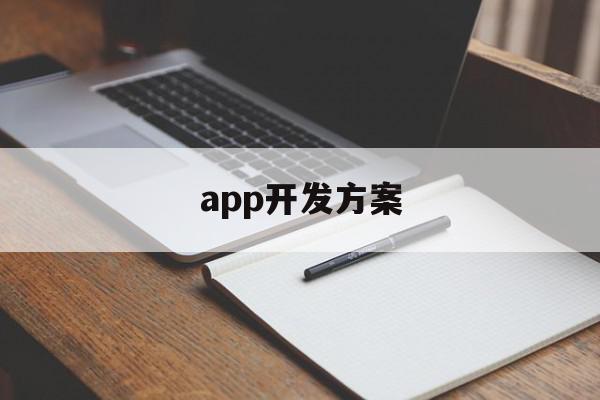 app开发方案(App开发方案文档)