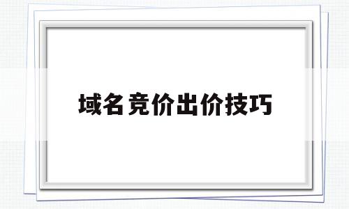 域名竞价出价技巧(百度竞价推广关键词出价技巧)