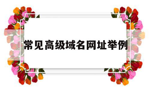常见高级域名网址举例(列举几种常见的顶级域名),常见高级域名网址举例,免费,二级域名,高级,第1张 常见高级域名网址举例(列举几种常见的顶级域名),常见高级域名网址举例(列举几种常见的顶级域名),常见高级域名网址举例,免费,二级域名,高级,第1张