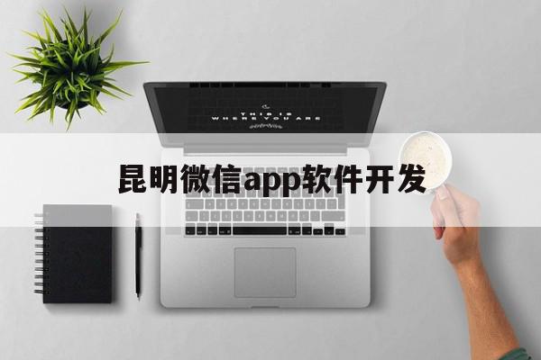 昆明微信app软件开发(昆明微信app软件开发公司),昆明微信app软件开发(昆明微信app软件开发公司),昆明微信app软件开发,微信,APP,app,第1张