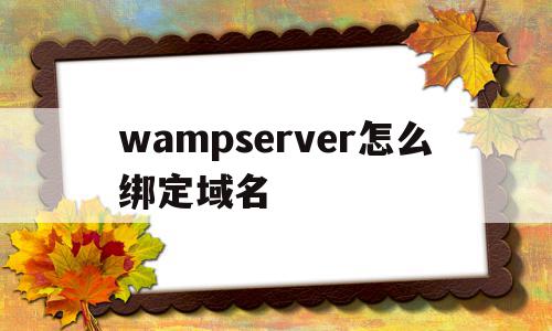 wampserver怎么绑定域名(wampserver怎么使用php)