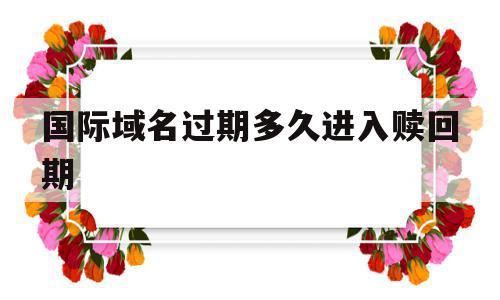 国际域名过期多久进入赎回期(国际域名过期多久进入赎回期限)