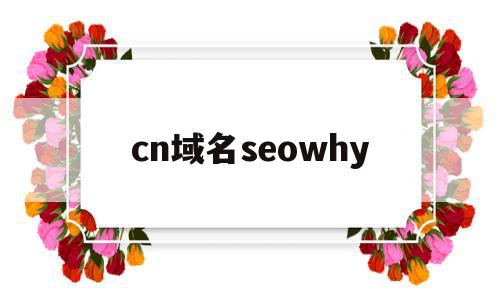 cn域名seowhy(cn域名和非cn域名 都可能是钓鱼网站吗)