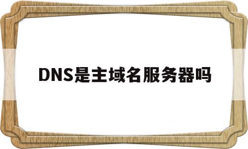 DNS是主域名服务器吗(dns是域名服务器的简称吗)