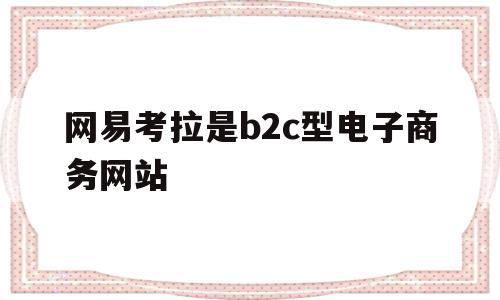 网易考拉是b2c型电子商务网站的简单介绍,网易考拉是b2c型电子商务网站的简单介绍,网易考拉是b2c型电子商务网站,第三方,电子商务,B2C,第1张