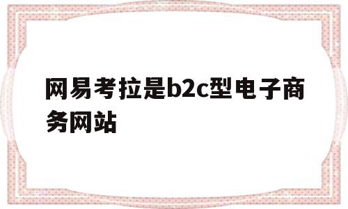 网易考拉是b2c型电子商务网站的简单介绍