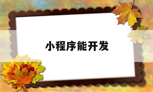 小程序能开发(小程序能开发自己店内的优惠券用于微信支付码)